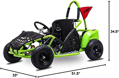 Baja-X 48V 1000W Brushless Electric Go Kart, 3-Speed Setting Go Kart W/Forward & Reverse, Racing Go Cart up to 20 Mph W/Foot Pedal & Foot Break, Go Cart Support up to 175 Lbs (Green)